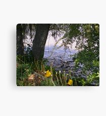 Hidden Places Canvas Print