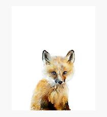 Kleiner Fuchs Fotodruck