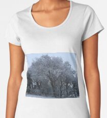 Snowy Serenity Women's Premium T-Shirt