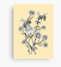 bees and chamomile on honey background Canvas Print
