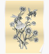 bees and chamomile on honey background Poster