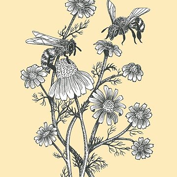 Artwork thumbnail, bees and chamomile on honey background  by EllenLambrichts