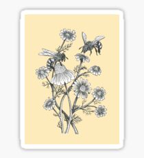 Bienen und Kamille auf Honig Hintergrund Sticker