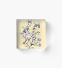 bees and chamomile on honey background Acrylic Block