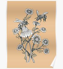 bees and chamomile on caramel background Poster