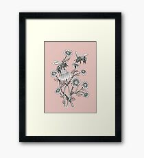 bees and chamomile on dusty pink background Framed Print