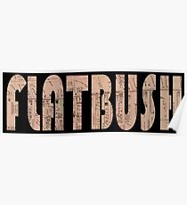 Póster Flatbush 1873