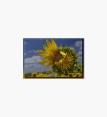 Wallflower Art Board