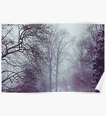 Winter Storm Poster