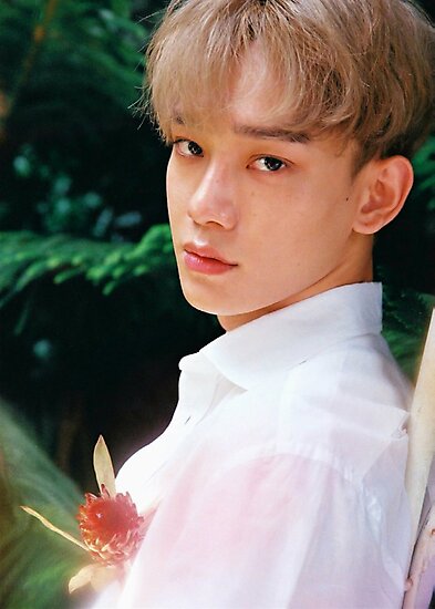 Chen Exo Kokobop The War Photographic Print By Ayshayasin