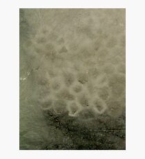 tissue paper Photographic Print