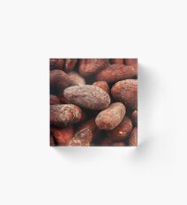 Whole cocoa beans in macro Acrylic Block