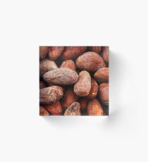 Whole cocoa beans in macro Acrylic Block