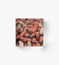 Whole cocoa beans in macro Acrylic Block
