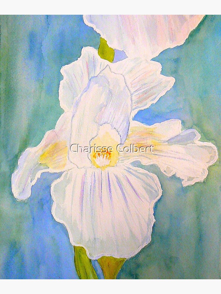 Immortality Iris by charissecolbert