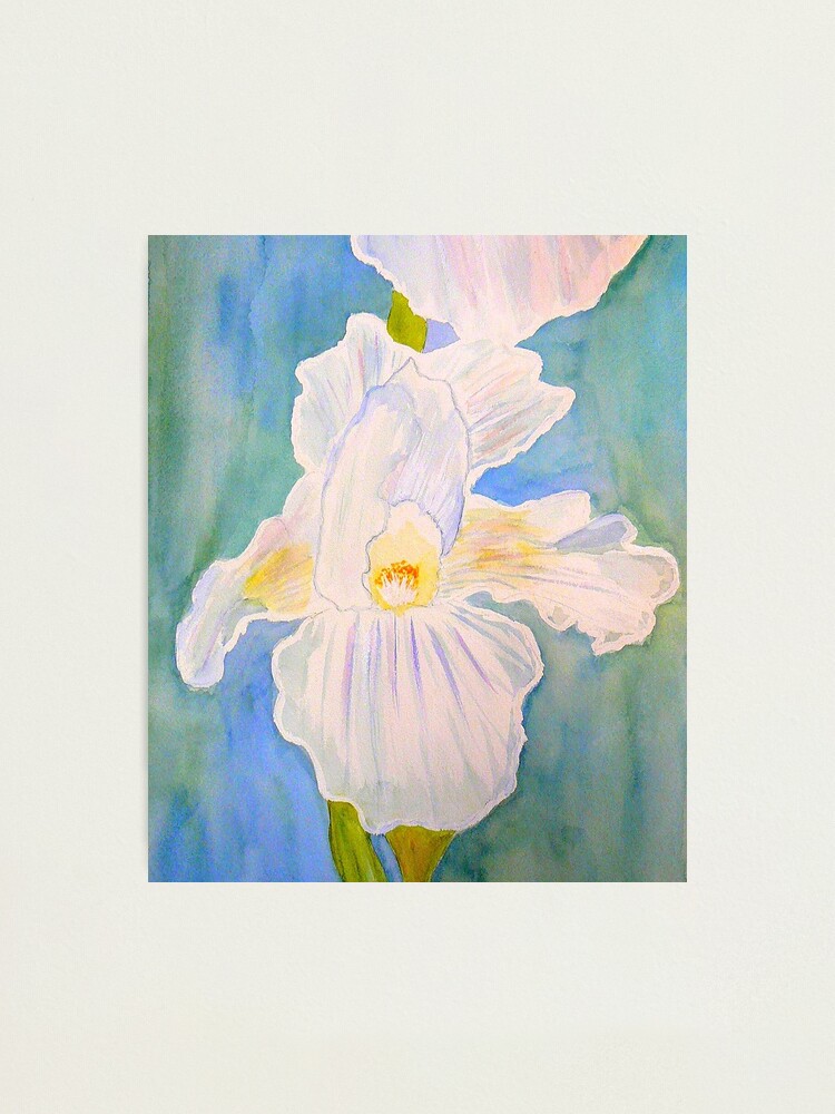 Alternate view of Immortality Iris Photographic Print