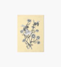 bees and chamomile on honey background Art Board