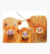 WE 3 COOS Photographic Print