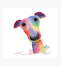 NOSEY DOG 'HANK' BY SHIRLEY MACARTHUR Photographic Print