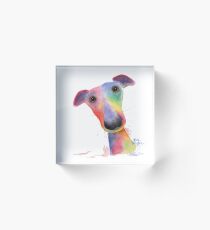 WHiPPeT GReYHouND DOG 'HANK' BY SHIRLEY MACARTHUR Acrylic Block