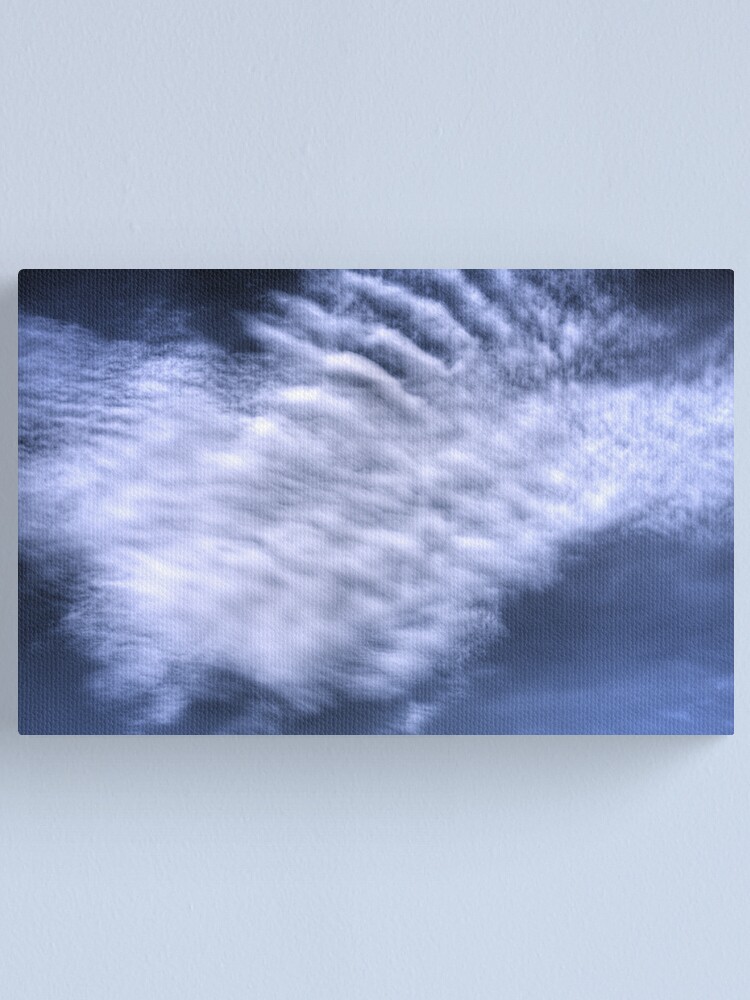 Alternate view of The Big White Something (Open Air #1) Canvas Print