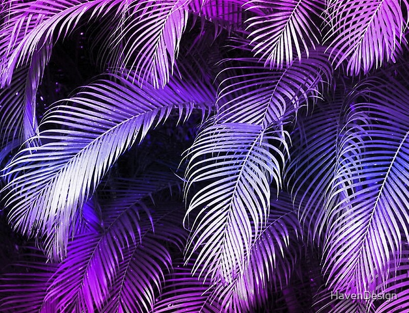 "Tropical Purple Palm Leaves" by HavenDesign | Redbubble