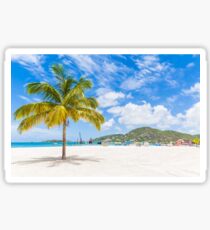 Palm Tree on St Martin Sticker