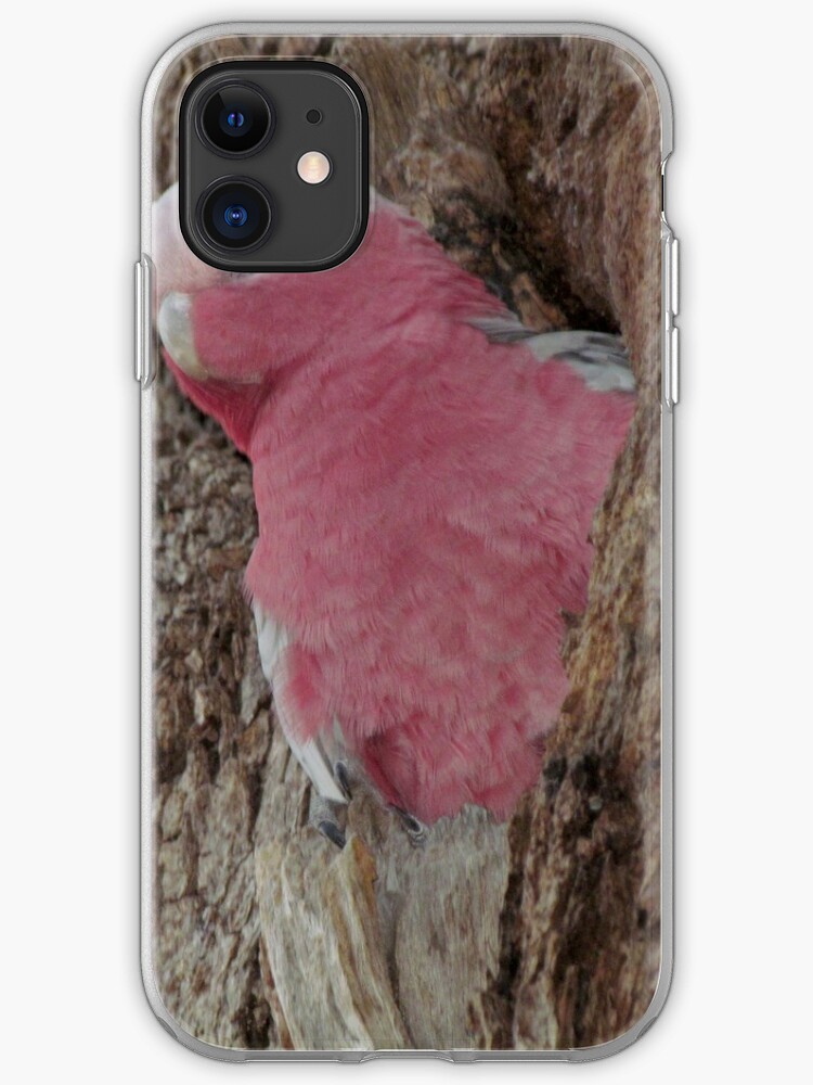Nesting Pink And Gray Galay Rose Breasted Cockatoo Iphone Case Cover By Tonikane Redbubble,Pet Hedgehog Halloween Costume