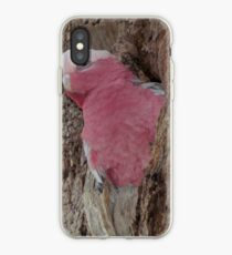 Nesting, Pink And Gray Galay (Rose Breasted Cockatoo) iPhone Case