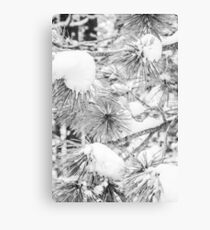 White on White Canvas Print
