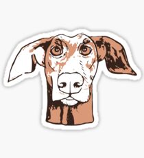 Quirky doberman Sticker
