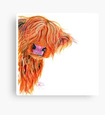 HIGHLAND COW 'PEEKABOO' BY SHIRLEY MACARTHUR Metal Print