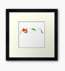 Johto Starters Framed Print