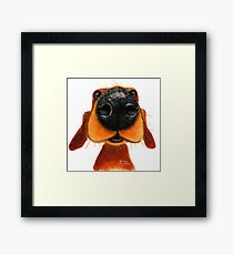 NOSEY DOG 'NOSEY NANDO' BY SHIRLEY MACARTHUR Framed Print