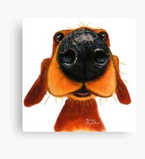 NOSEY DOG 'NOSEY NANDO' BY SHIRLEY MACARTHUR Canvas Print