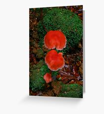Redcap Family Greeting Card