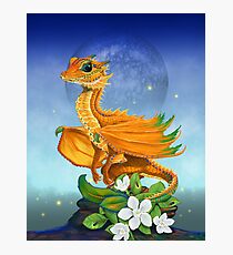 Orange Dragon Photographic Print