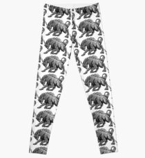 Dragon Leggings