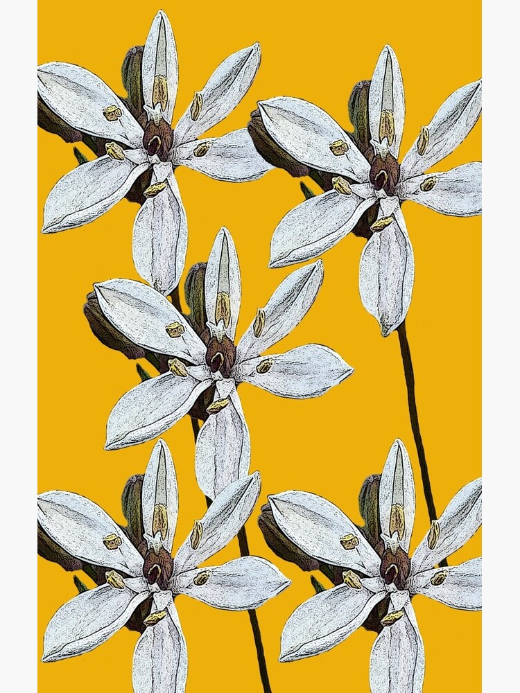 Milkmaids Wildflower by yallmia