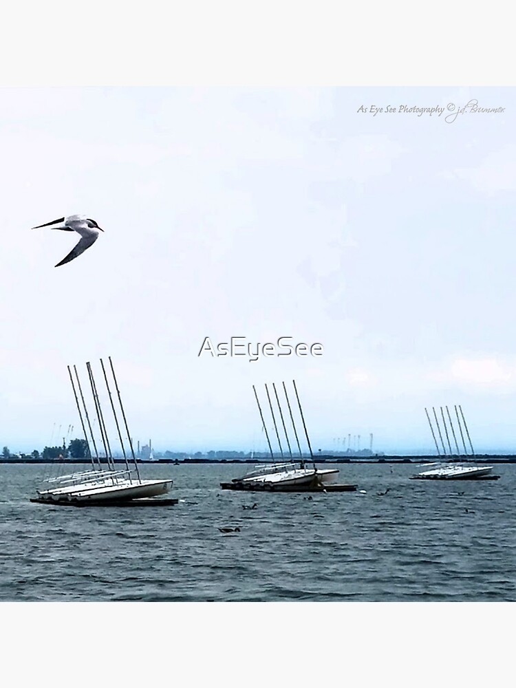 Jet Setter by AsEyeSee