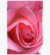 TIS the last Rose of Summer Poster