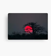 End of the day Canvas Print