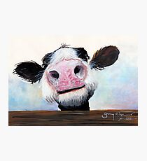 NOSEY COW 'HEY! HOW'S IT GOIN'?' BY SHIRLEY MACARTHUR Photographic Print
