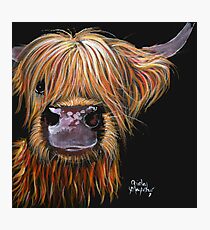 SCOTTISH HAIRY HIGHLAND COW 'HENRY' By Shirley MacArthur Photographic Print