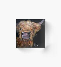 SCOTTISH HAIRY HIGHLAND COW 'HENRY' By Shirley MacArthur Acrylic Block