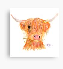 SCOTTISH HIGHLAND COW 'FERGUS' By Shirley MacArthur Canvas Print