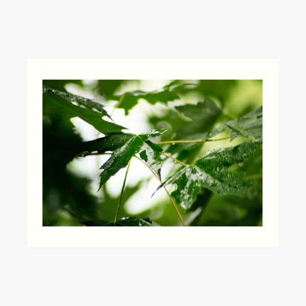 Blank Space Art Prints Redbubble