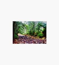 Secluded Art Board Print