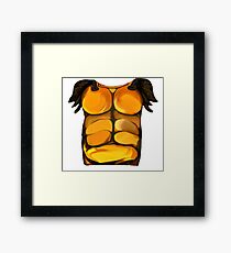 Armour Framed Print