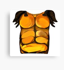 Armour Canvas Print